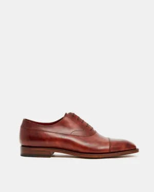 Museum Cognac Balmoral Oxford Shoe