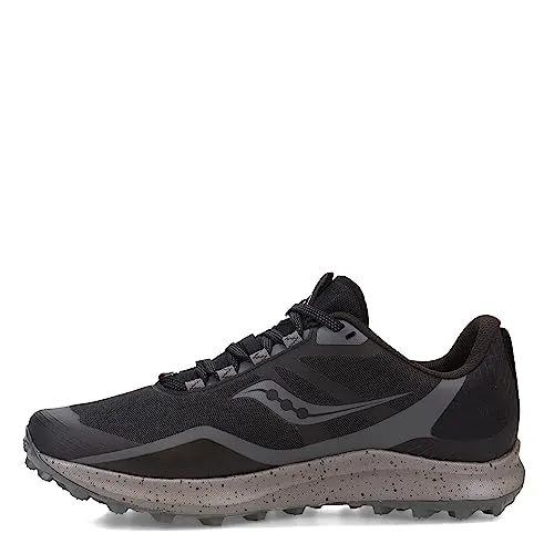 Peregrine 12 Running Shoe - Men's